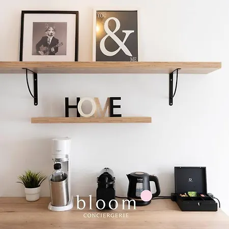 Elegant Logement Renove דירה *