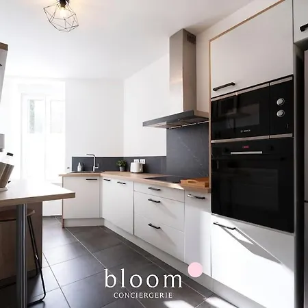 Elegant Logement Renove דירה